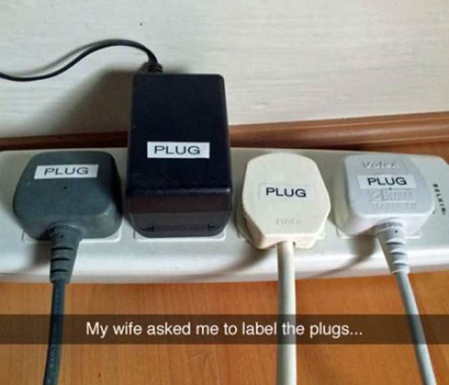 Daily Picdump
