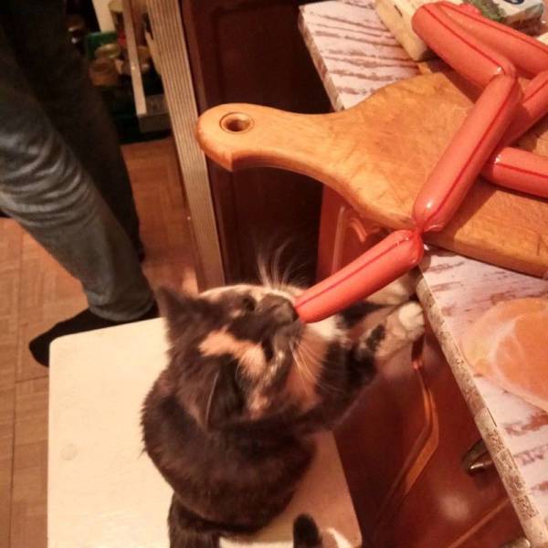 Daily Picdump