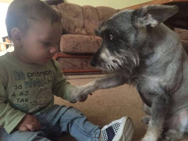 Daily Picdump
