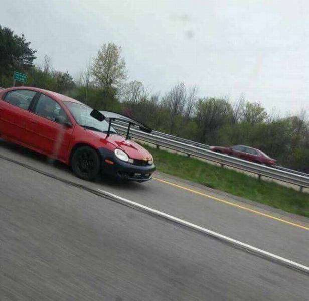 Daily Picdump