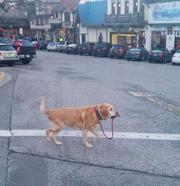 daily picdump 98 pics 2.html - 98 HD Photos | Premium Gallery 2017