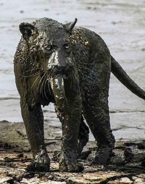 daily picdump 98 pics 2.html - 98 HD Photos | Premium Gallery 2017