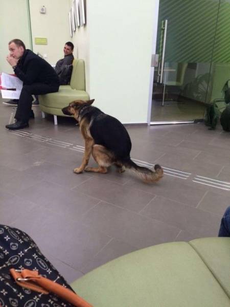 daily picdump 98 pics 2.html - 98 HD Photos | Premium Gallery 2017