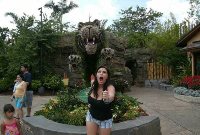 daily picdump 98 pics 2.html - 98 HD Photos | Premium Gallery 2017