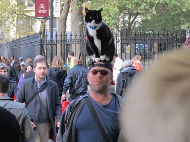 daily picdump 98 pics 2.html - 98 HD Photos | Premium Gallery 2017