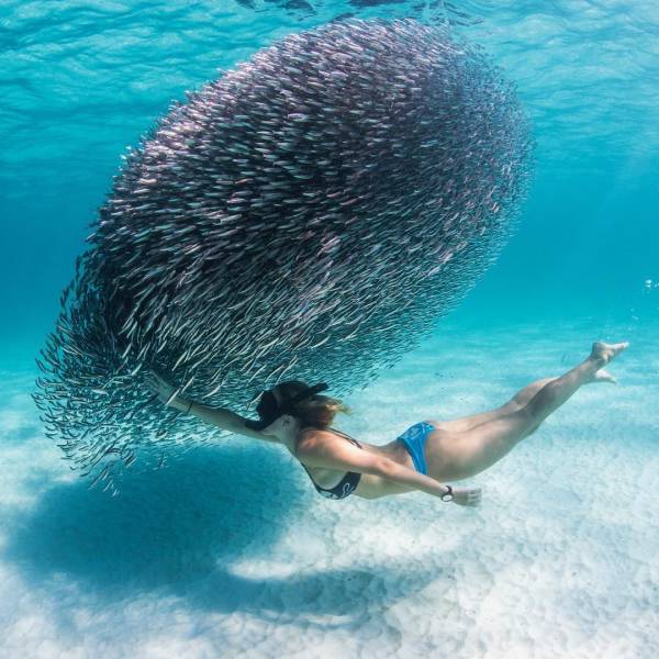 daily picdump 98 pics 2.html - 98 HD Photos | Premium Gallery 2017