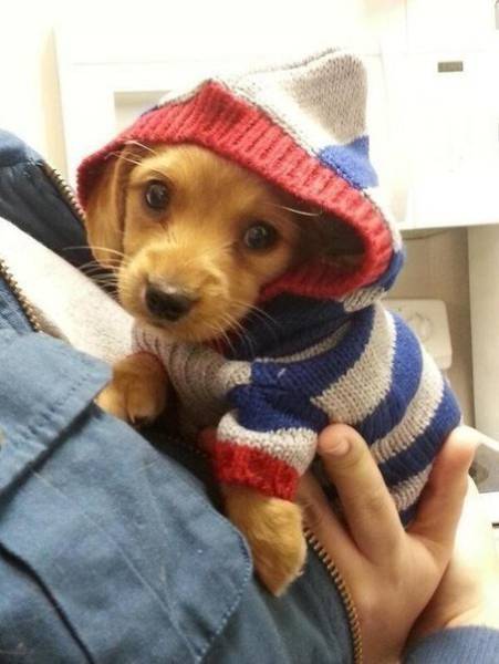 Morning Picdump