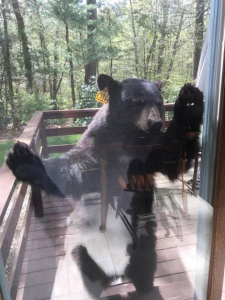 Daily Picdump