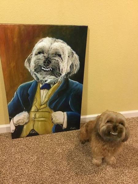 daily picdump 102 pics 21.html - 102 HD Photos | Premium Gallery 2017