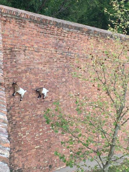 daily picdump 102 pics 21.html - 102 HD Photos | Premium Gallery 2017