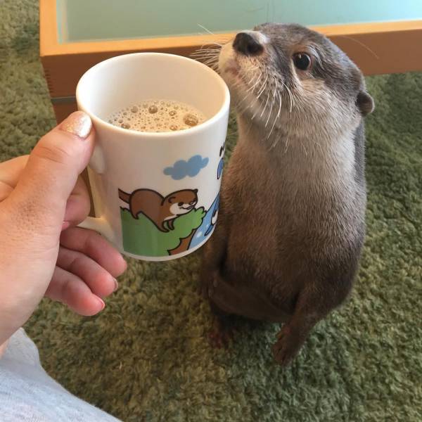 daily picdump 102 pics 21.html - 102 HD Photos | Premium Gallery 2017