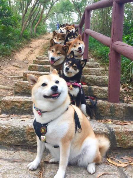 daily picdump 102 pics 21.html - 102 HD Photos | Premium Gallery 2017
