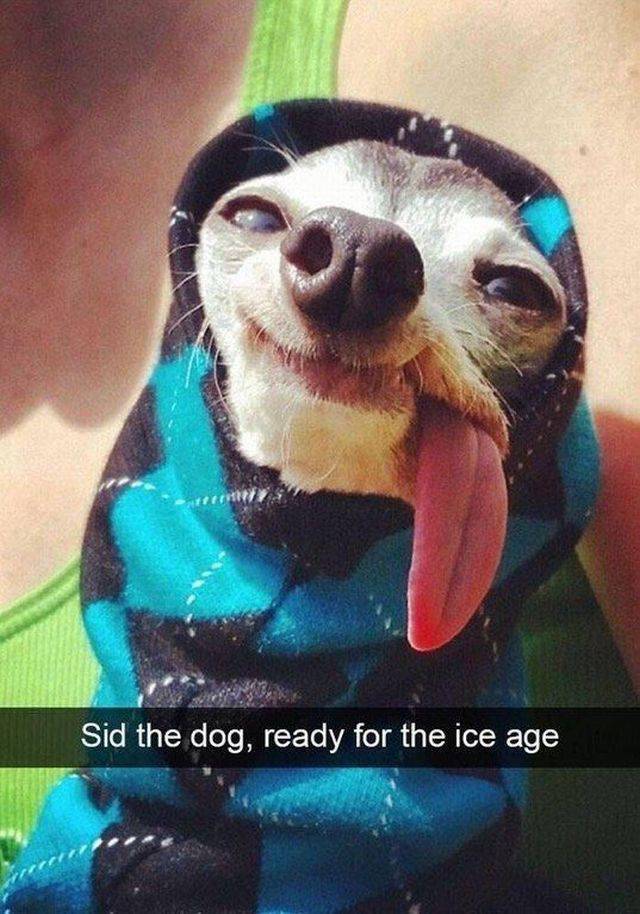 daily picdump 102 pics 21.html - 102 HD Photos | Premium Gallery 2017
