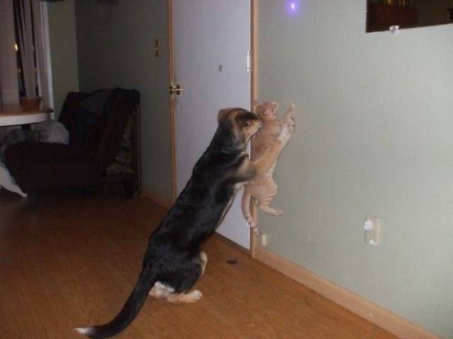 daily picdump 98 pics 3.html - 98 HD Photos | Premium Gallery 2017