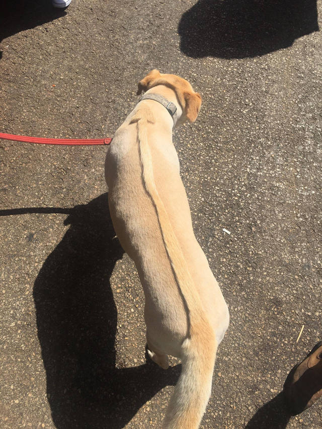 morning picdump 50 pics 12.html - 50 HD Photos | Premium Gallery 2017