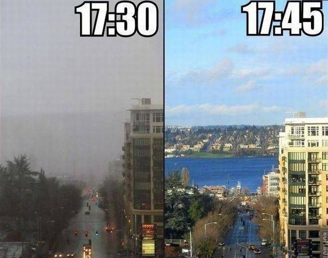daily picdump 98 pics 18.html - 98 HD Photos | Premium Gallery 2017