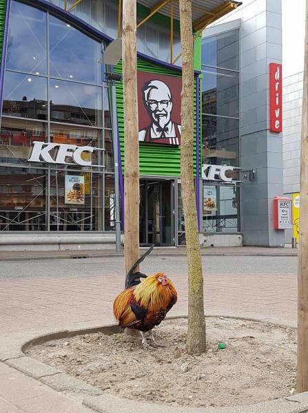 daily picdump 98 pics 18.html - 98 HD Photos | Premium Gallery 2017