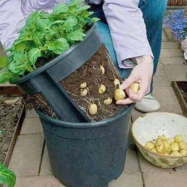 daily picdump 98 pics 18.html - 98 HD Photos | Premium Gallery 2017