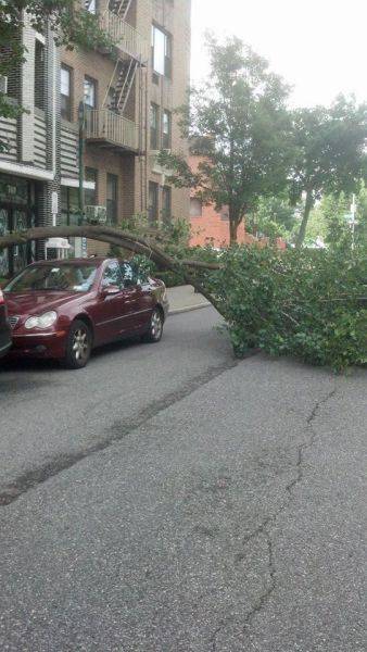 daily picdump 101 pics 10.html - 101 HD Photos | Premium Gallery 2017
