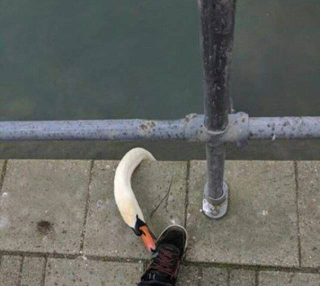 daily picdump 101 pics 10.html - 101 HD Photos | Premium Gallery 2017