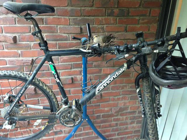 morning picdump 54 pics 21.html - 54 HD Photos | Premium Gallery 2017