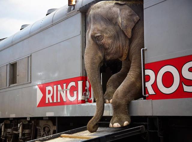 morning picdump 54 pics 21.html - 54 HD Photos | Premium Gallery 2017