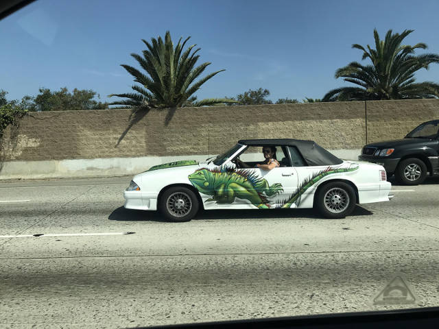 morning picdump 54 pics 21.html - 54 HD Photos | Premium Gallery 2017