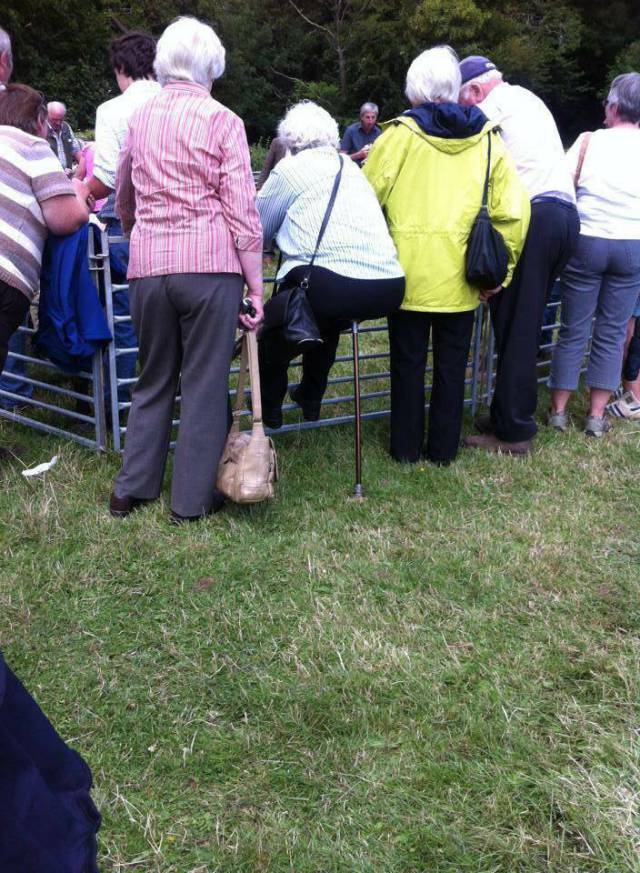 morning picdump 54 pics 21.html - 54 HD Photos | Premium Gallery 2017