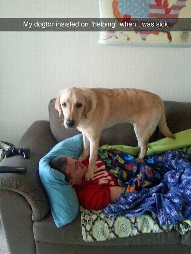 Daily Picdump