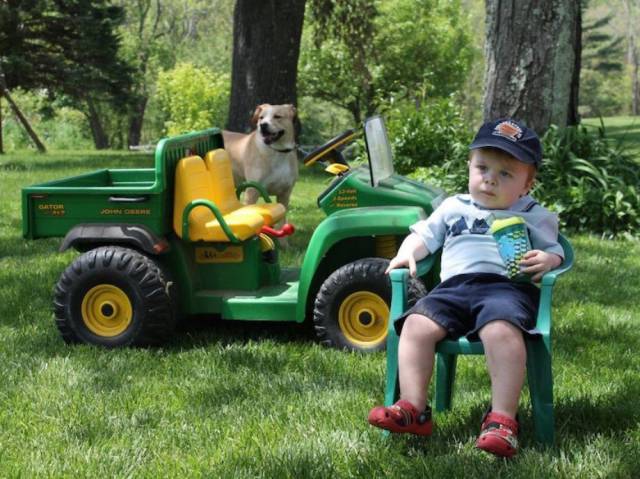 daily picdump weekend edition 75 pics 2.html - 75 HD Photos | Premium Gallery 2017
