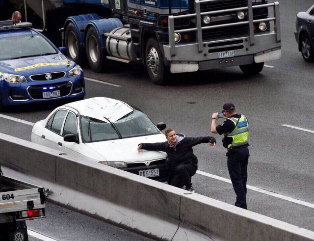 Daily Picdump