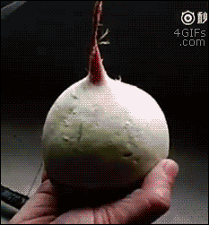 How Can One Be So Talented?!