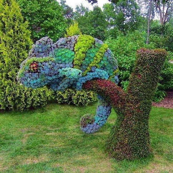 How Can One Be So Talented?!