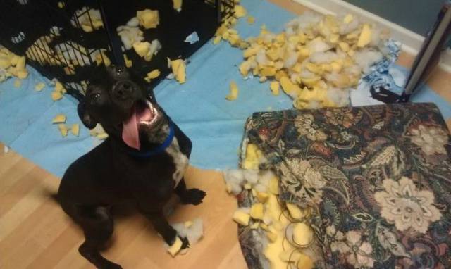 daily picdump 100 pics 2.html - 100 HD Photos | Premium Gallery 2017