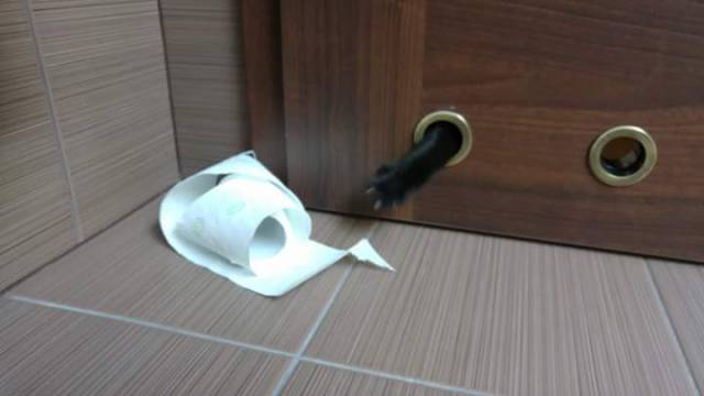 morning picdump 52 pics 17.html - 52 HD Photos | Premium Gallery 2017