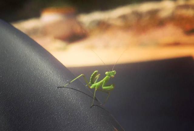 Daily Picdump [WEEKEND EDITION]