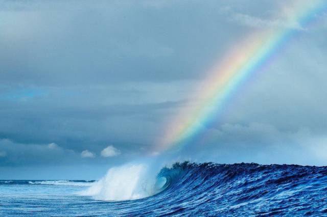 daily picdump weekend edition 74 pics 24.html - 74 HD Photos | Premium Gallery 2017