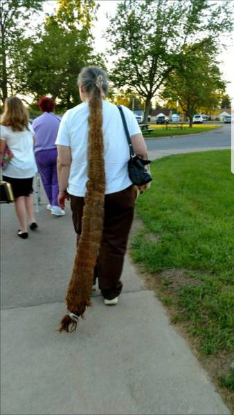 daily picdump weekend edition 74 pics 24.html - 74 HD Photos | Premium Gallery 2017