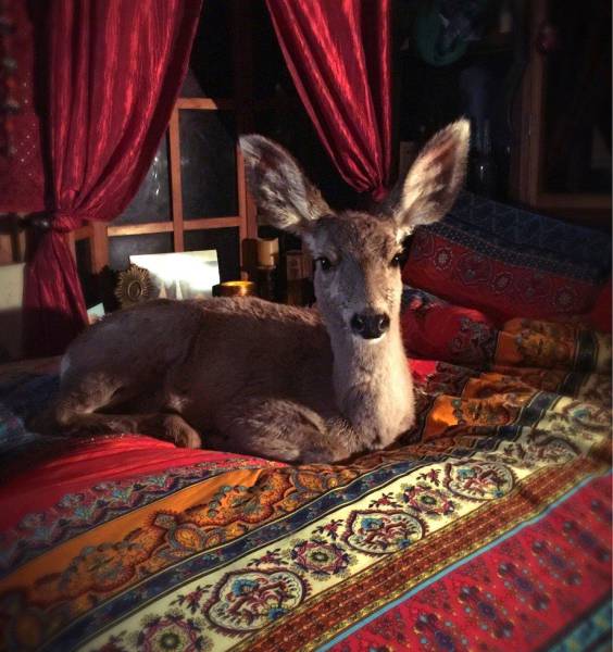 daily picdump weekend edition 74 pics 24.html - 74 HD Photos | Premium Gallery 2017