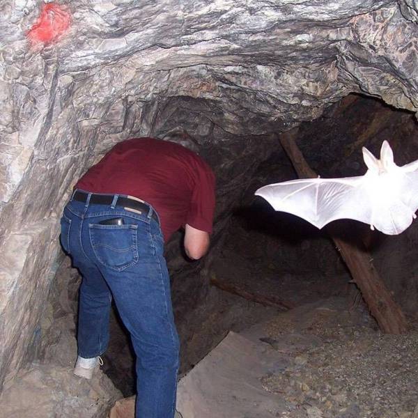 daily picdump weekend edition 74 pics 24.html - 74 HD Photos | Premium Gallery 2017