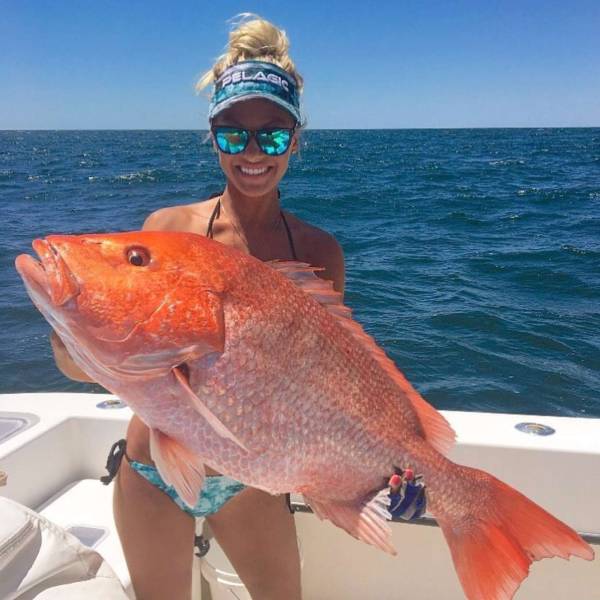 daily picdump weekend edition 74 pics 24.html - 74 HD Photos | Premium Gallery 2017