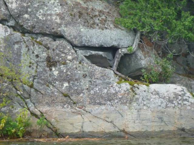 daily picdump weekend edition 74 pics 24.html - 74 HD Photos | Premium Gallery 2017