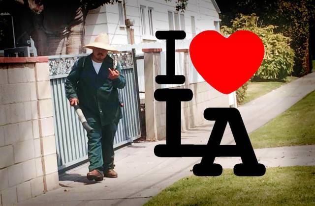 daily picdump weekend edition 74 pics 24.html - 74 HD Photos | Premium Gallery 2017