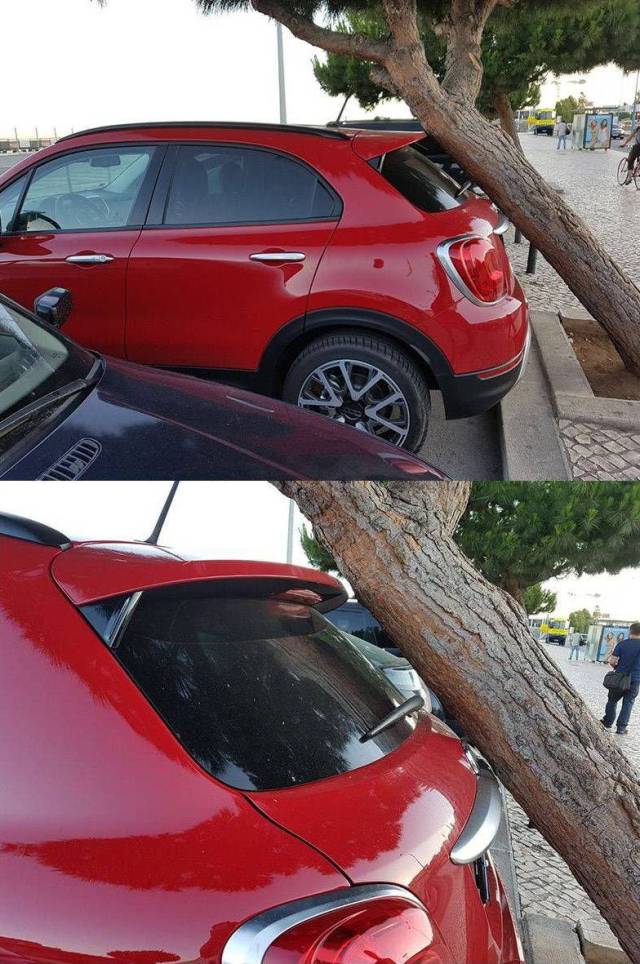 daily picdump weekend edition 74 pics 24.html - 74 HD Photos | Premium Gallery 2017