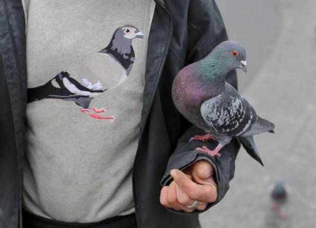 daily picdump 111 pics 39.html - 111 HD Photos | Premium Gallery 2017