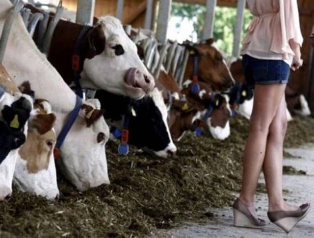 daily picdump 111 pics 39.html - 111 HD Photos | Premium Gallery 2017