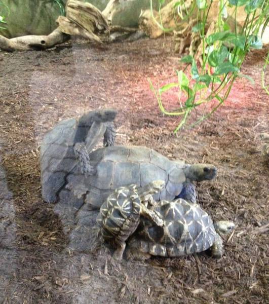 daily picdump 111 pics 39.html - 111 HD Photos | Premium Gallery 2017