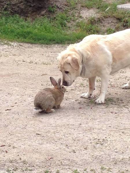 daily picdump 111 pics 39.html - 111 HD Photos | Premium Gallery 2017