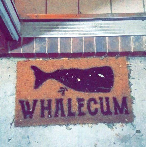 daily picdump 111 pics 39.html - 111 HD Photos | Premium Gallery 2017