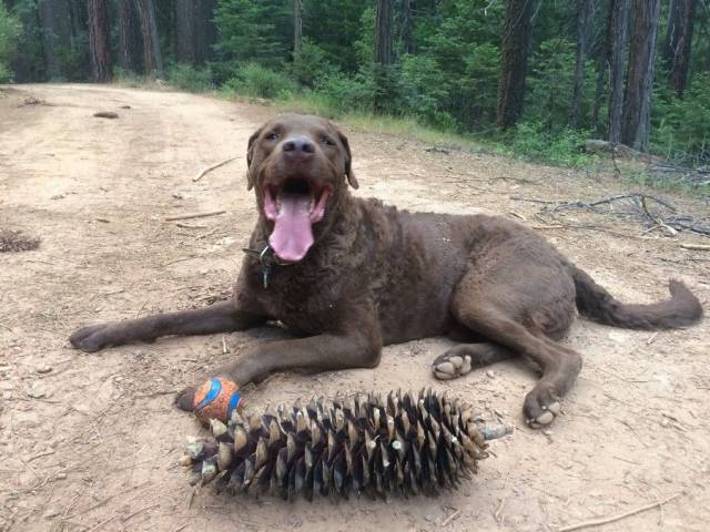 daily picdump 111 pics 39.html - 111 HD Photos | Premium Gallery 2017